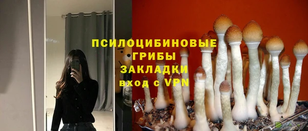 соль курить ск Зерноград