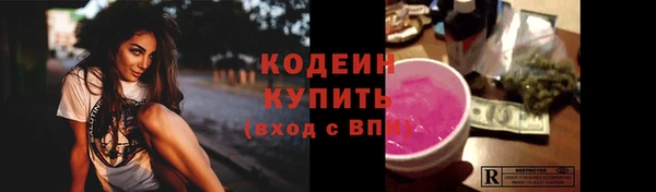 соль ск Зеленодольск