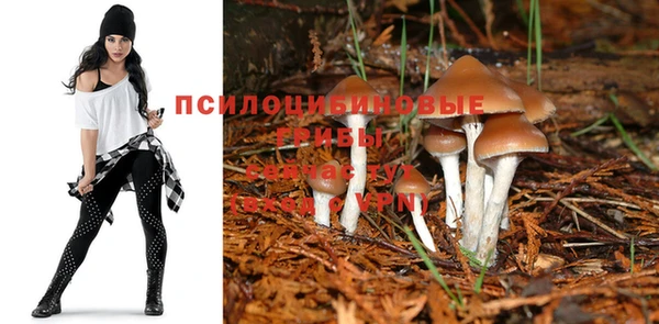 соль курить ск Зерноград