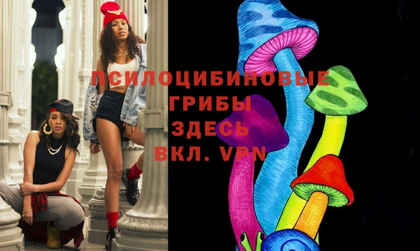соль ск Зеленодольск
