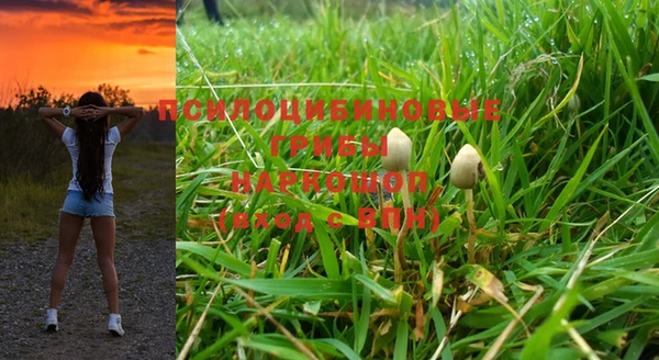 ALPHA-PVP Зеленокумск