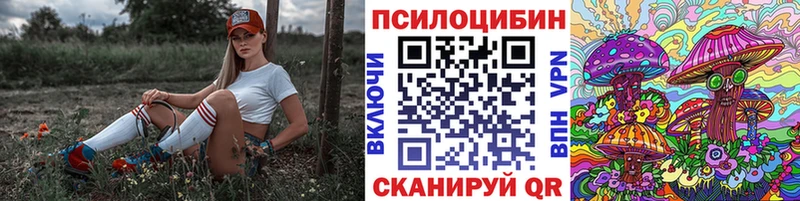 Псилоцибиновые грибы MAGIC MUSHROOMS  дарк нет как зайти  Новочебоксарск  даркнет сайт 